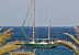 Palmenbucht